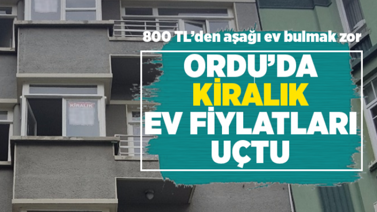 Ordu'da kiralık ev fiyatları uçtu