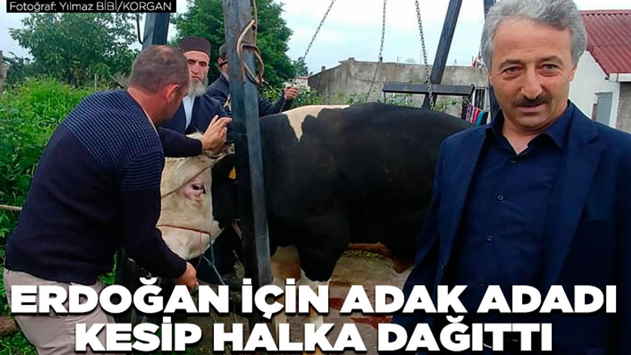 Erdoğan için adak adadı, kesip halka dağıttı