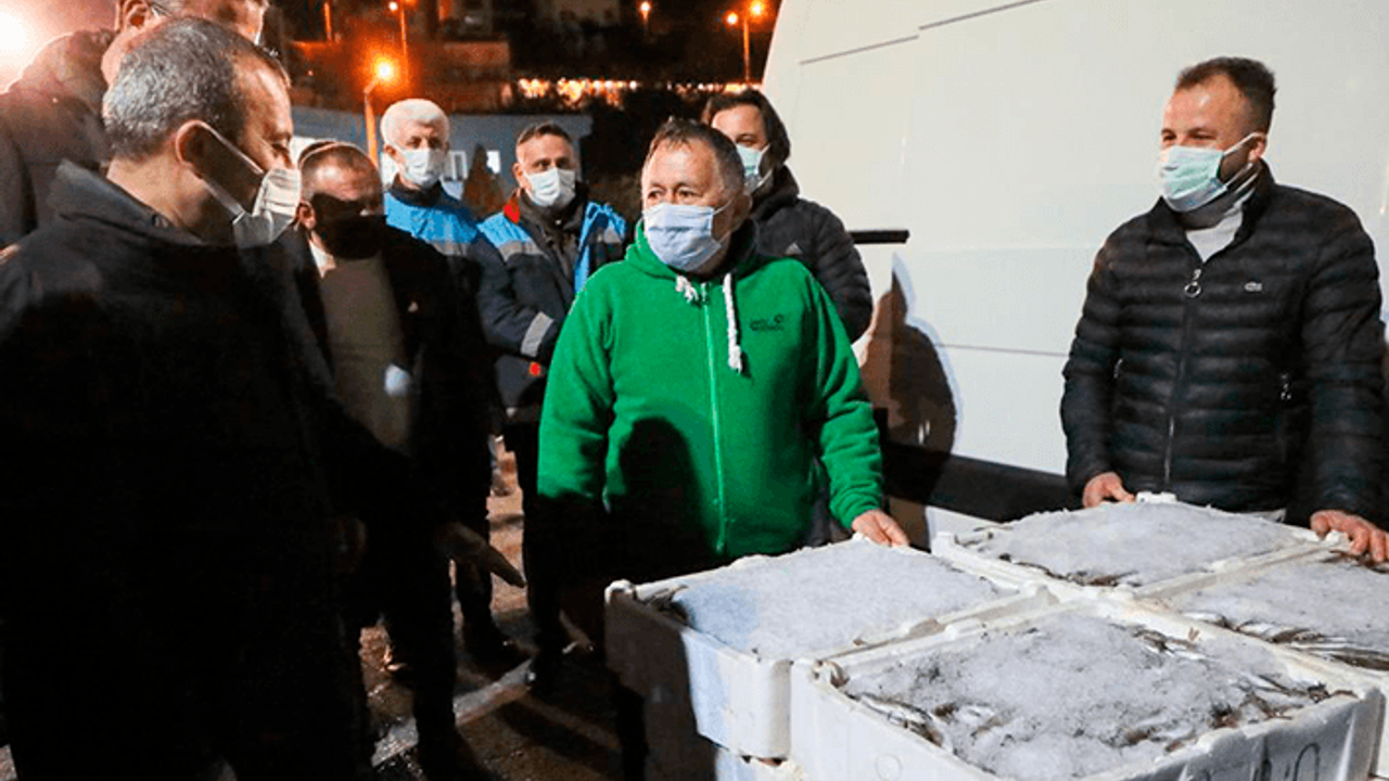 Ordu Valisi Sonel'den balık haline ziyaret