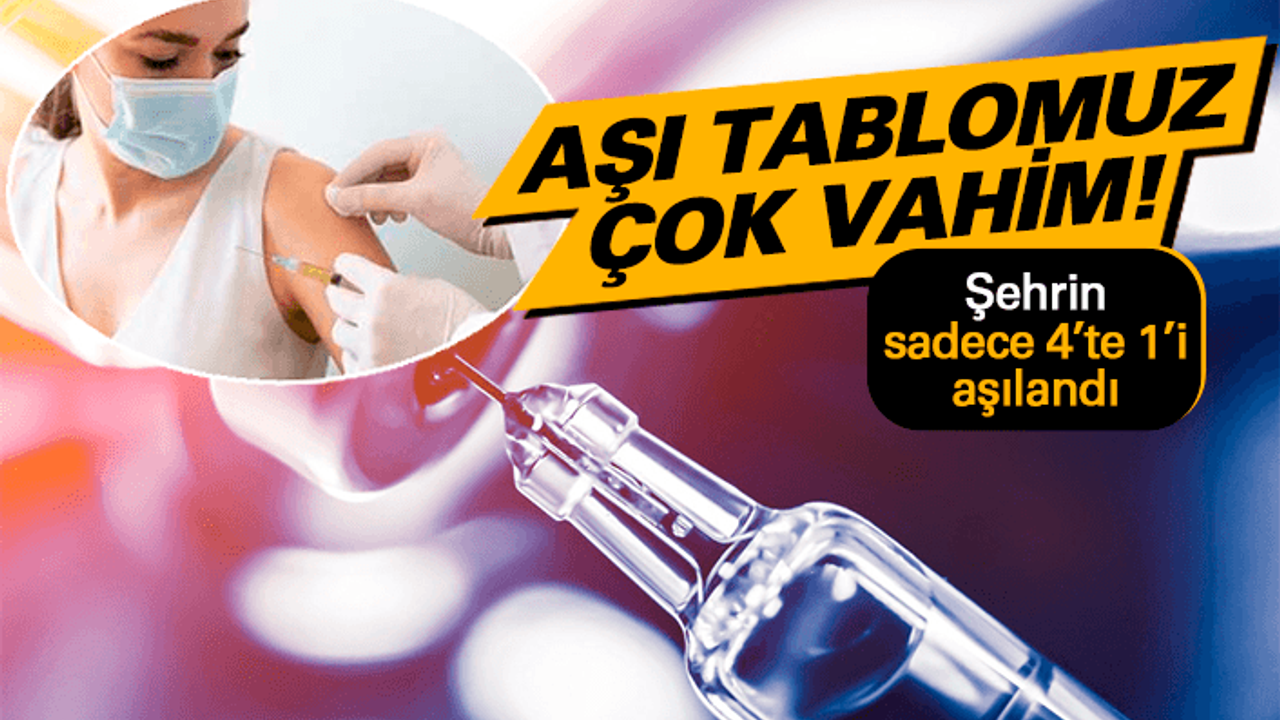 Ordu'da aşılama durumu çok vahim!