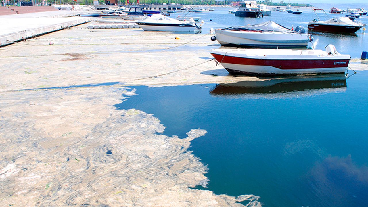 Marmara Denizi salya ile kaplandı