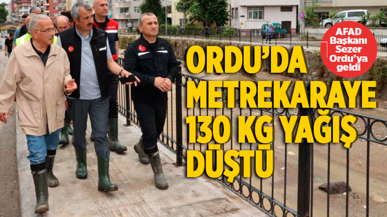 AFAD Başkanı Sezer afet bölgesi Ordu'ya geldi