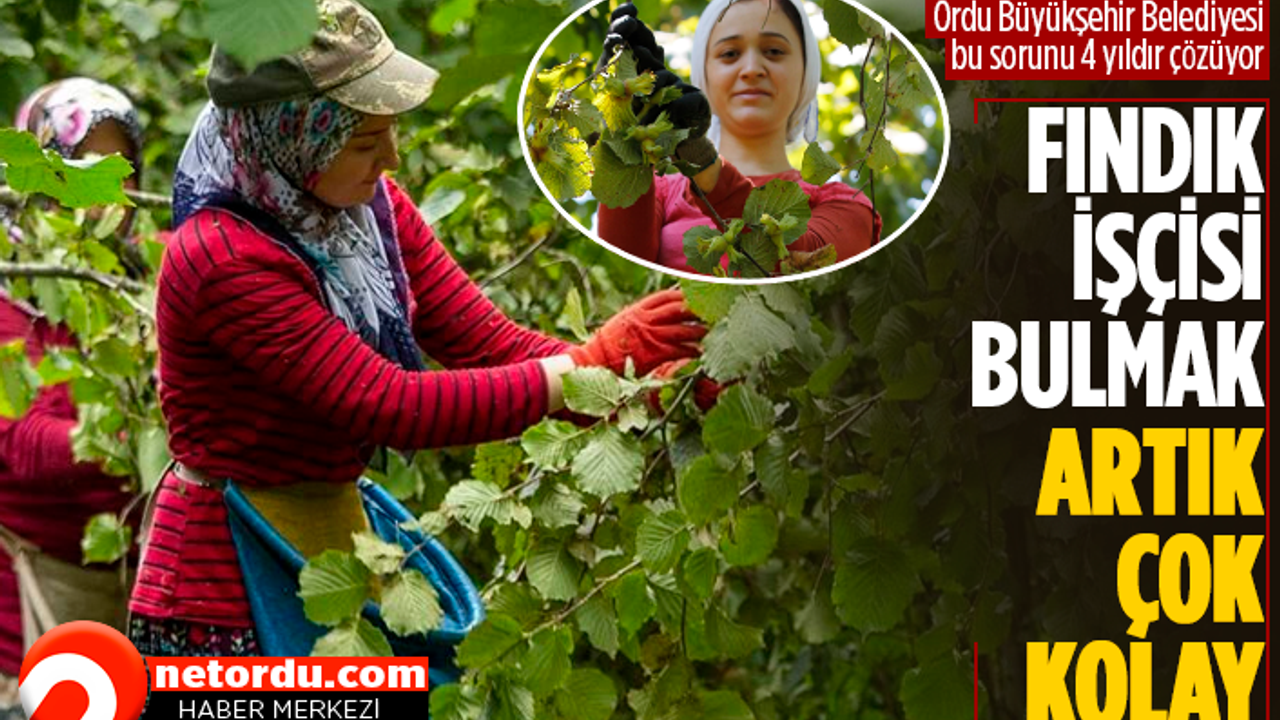 Fındık üreticileri artık kara kara düşünmüyor