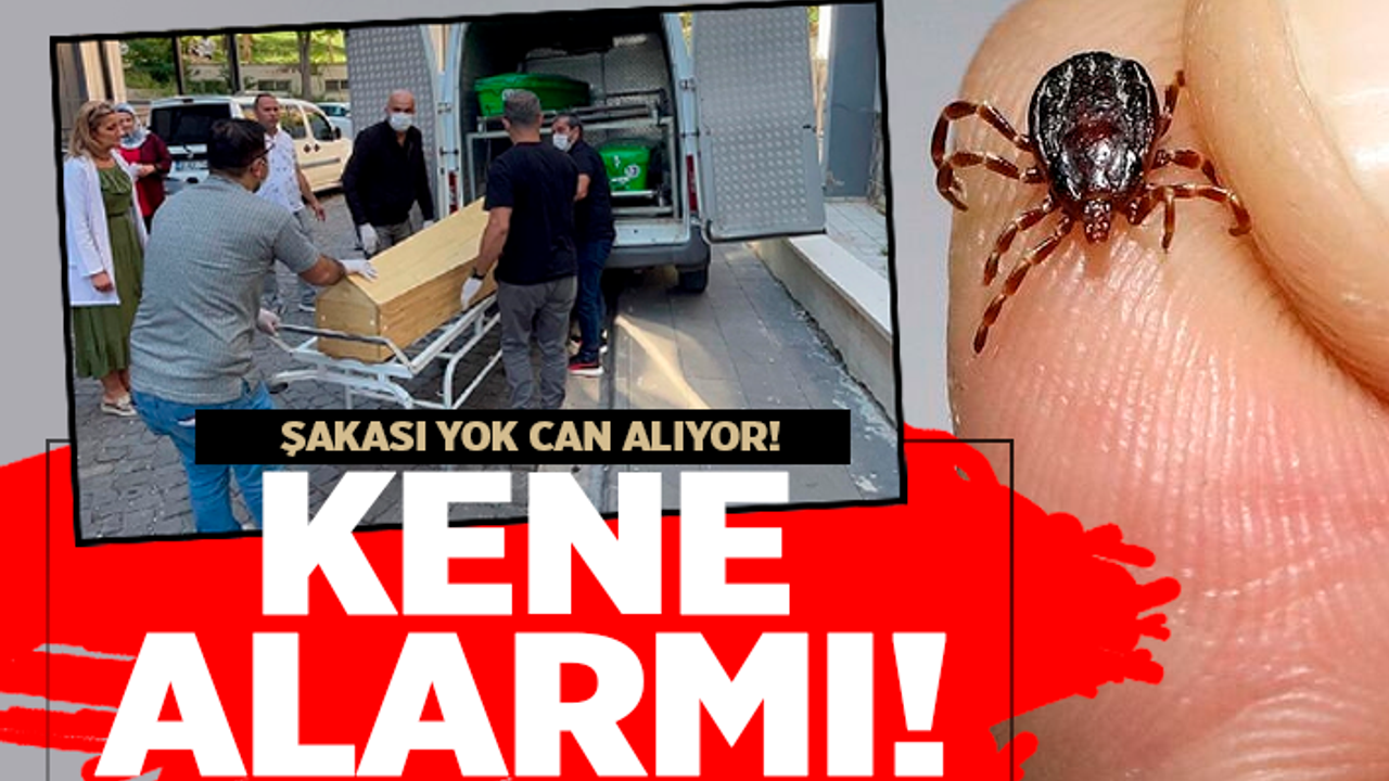 Kabus geri döndü! Kene 2 can daha aldı...