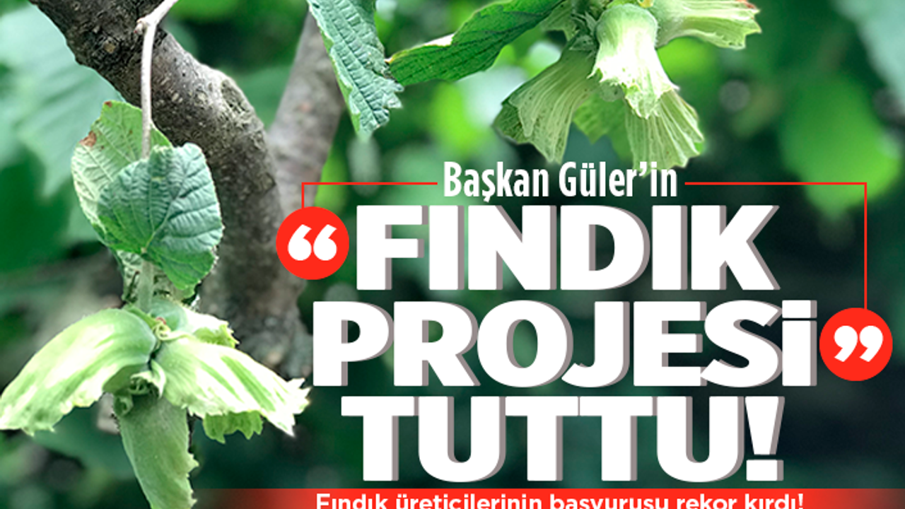 Ordu'da iş arayan da işçi arayan da bu projeye başvuruyor!