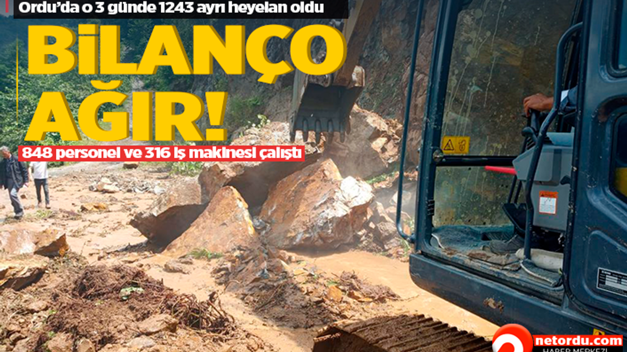 Ordu'da sel faturası: 3 günde bin 243 heyelan!