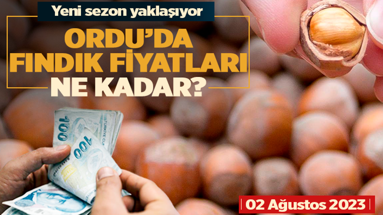 Ordu'da bugünün fındık fiyatları (02 Ağustos 2023)