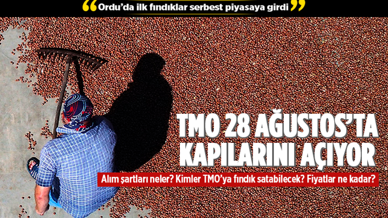 TMO ilk fındık alımlarına 28 Ağustos'ta başlayacak
