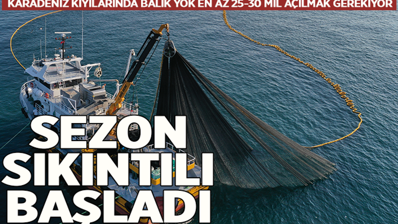 Karadeniz'de balık yok! Sezon sıkıntılı başladı...