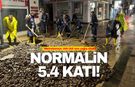 Fatsa'ya normalin 5.4 katı yağış düştü!