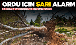 Meteoroloji Ordu için 'sarı' alarm verdi