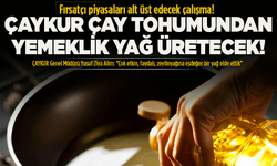 ÇAYKUR fırsatçı yağ piyasalarını alt üst etti!