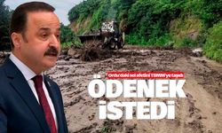 MHP'li Şanlıtürk sel felaketi için ödenek istedi