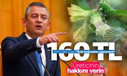 CHP Lideri Özel'den 'fındık taban fiyatı' açıklaması