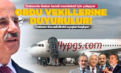 Trabzon-Kocaeli direkt uçuşları başlıyor