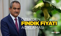 AK Partili Özer'den 'fındık fiyatı' açıklaması