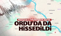 5.9'luk Malatya depremi Ordu'da da hissedildi