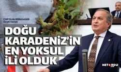 Seyit Torun: "Doğu Karadeniz'in en yoksul ili olduk"