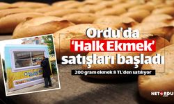 Ordu'da 200 gram halk ekmek 8 TL'den satılıyor