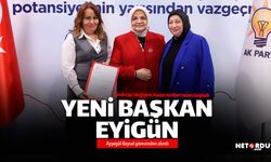 AK Parti'nin yeni Kadın Kolları İl Başkanı Şeniz Eyigün oldu