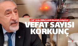 Mustafa Adıgüzel: "Vefat sayısı korkunç düzeyde"