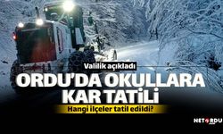 Ordu'nun bazı ilçelerinde eğitime1 günlük ara