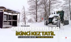 Ordu'daki okullarda kar tatili uzatıldı