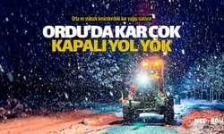 Ordu'da kar çok, kapalı hiç yol yok