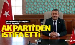 Mesudiye Belediye AK Parti'den istifa mı etti?