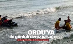 Ordu'da iki gün denize girmek yasaklandı