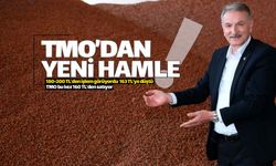 TMO'dan yeni bir 'fındık' hamlesi geldi!
