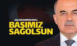 Ordu Valisi Erol'dan 'Başsağlığı' mesajı