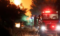 Bu kez de Tekirdağ ve Çanakkale ormanları yanıyor