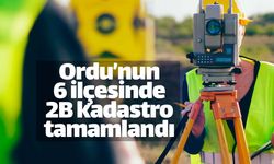Ordu'nun 6 ilçesi 46 mahallesinde kadastro tamam