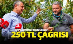 CHP Lideri'nden 250 TL'lik fındık fiyatı çağrısı