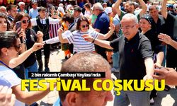 2 bin rakımlı Çambaşı Yaylası'nda festival coşkusu