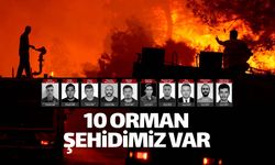 Orman yangınlarında 10 canımız gitti