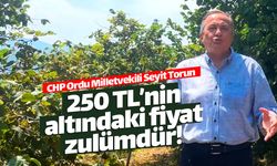 250 TL'nin altındaki fındık fiyatı zulümdür!