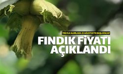 Tarım Bakanlığı fındık taban fiyatlarını açıkladı