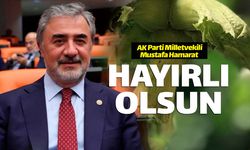 AK Partili Mustafa Hamarat: "Hayırlı olsun" dedi