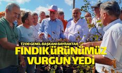 TZOB Başkanı Bayraktar: "Fındık vurgun yedi"
