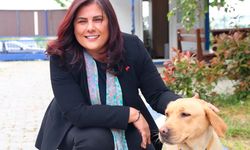 Özlem Çerçioğlu CHP'den istifa ettiğini açıkladı