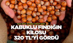 Kabuklu fındığın kilosu 320 lirayı gördü
