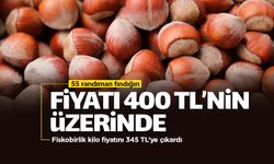 Fındık fiyatları rekora koşuyor