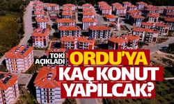 Ordu'da hangi ilçelere kaç konut yapacak?