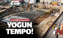 Ordu Millet Bahçesi'nde yoğun tempo sürüyor