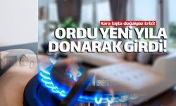 Ordulular yeni yıla kara kışta donarak girdi