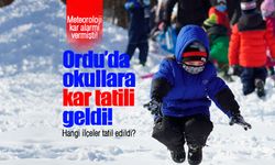 Ordu'da bazı ilçelerde okullara kar tatili!