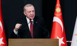 Cumhurbaşkanı Erdoğan: "Her türlü zorbalığı sergilediler"