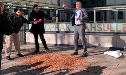 CHP'li Adıgüzel bir çuval fındığı TMO önüne döktü